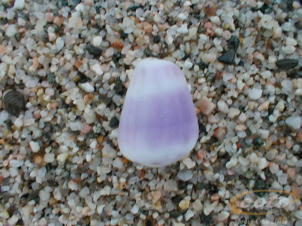 P1010080