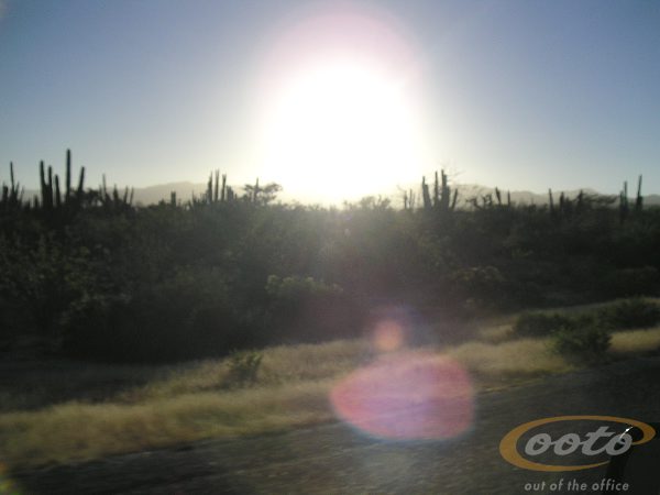 PICT0036